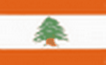 lebanon Online phone number